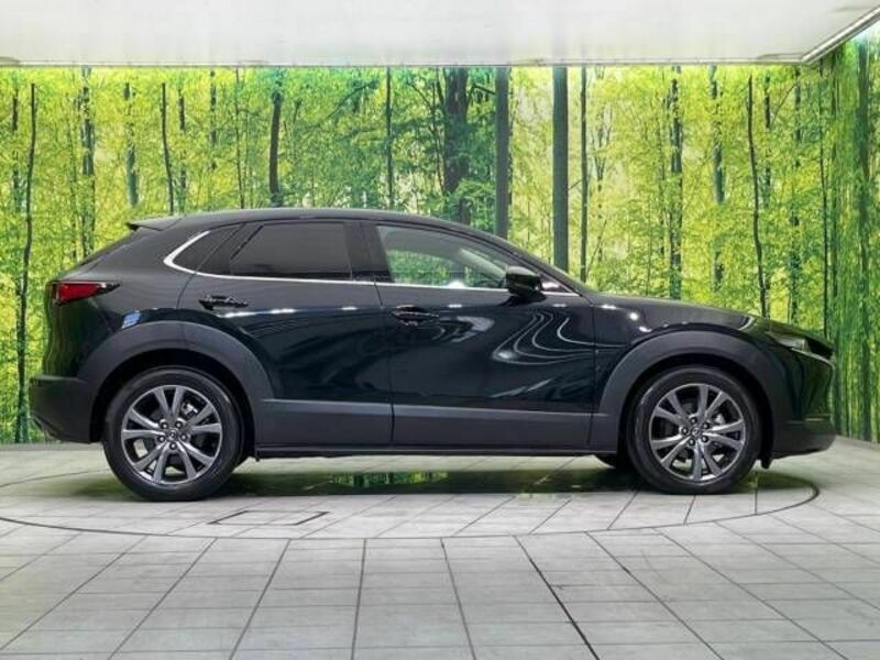 CX-30