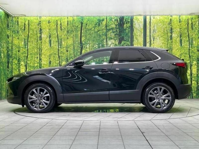 CX-30
