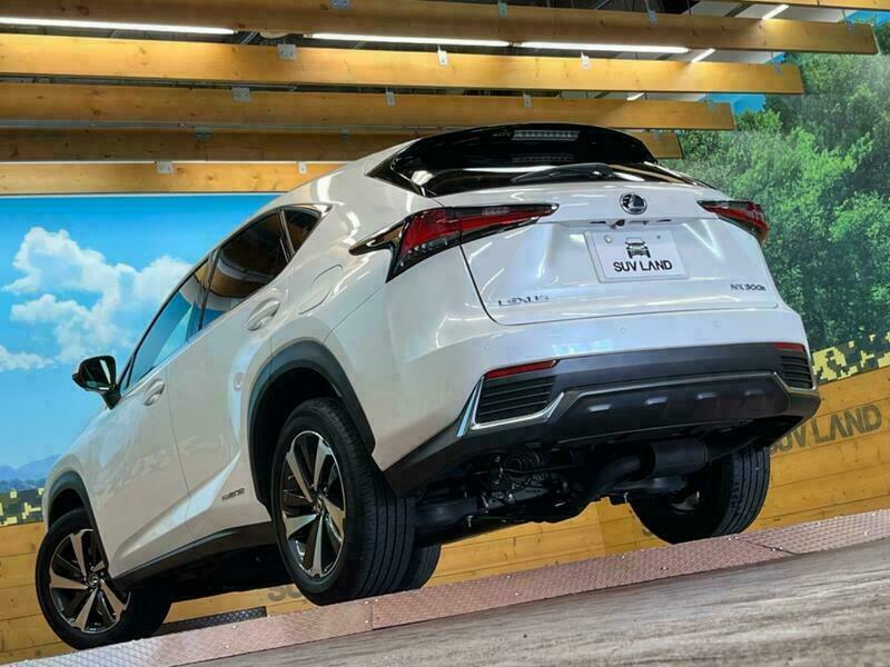 NX