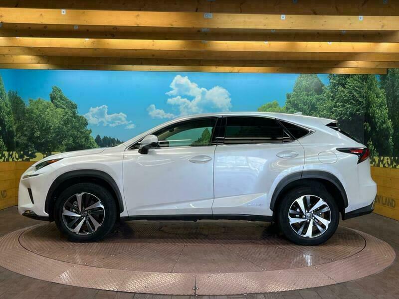 NX