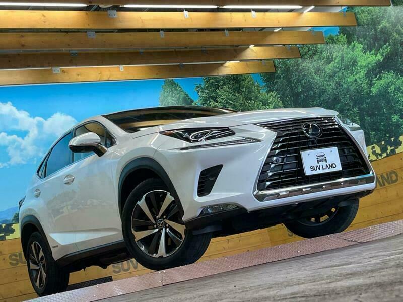 NX