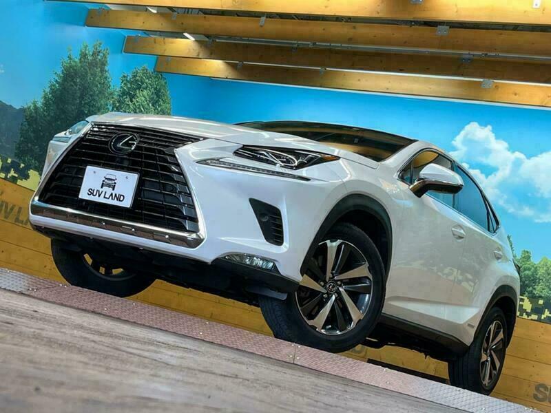 NX