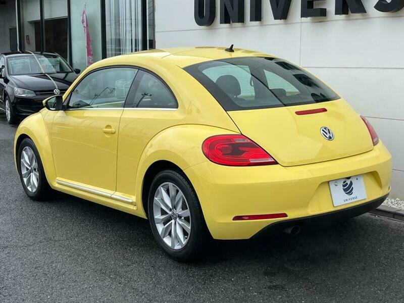 THE BEETLE