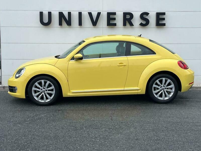 THE BEETLE