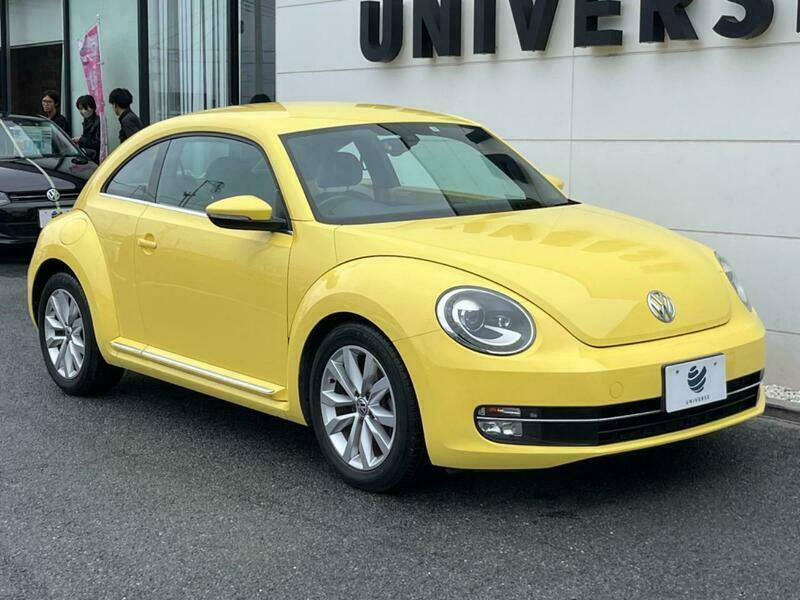 THE BEETLE