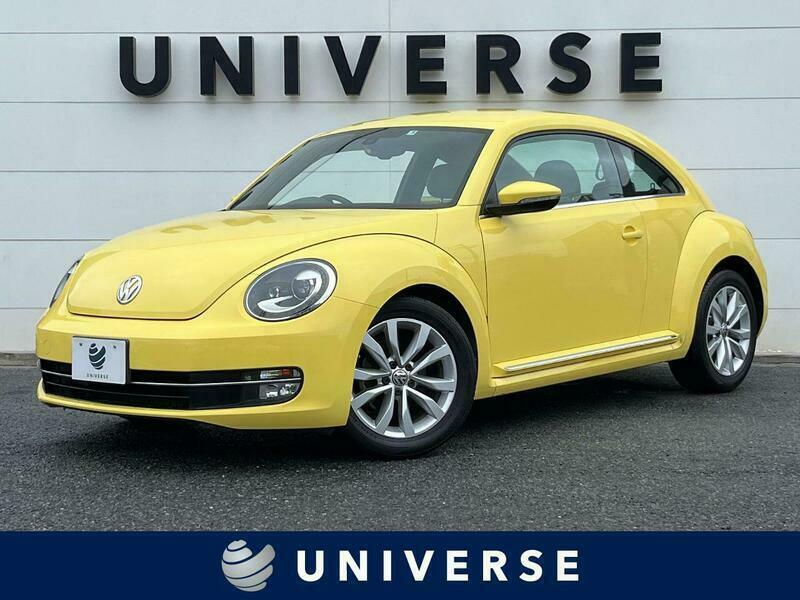 THE BEETLE