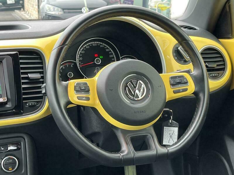 THE BEETLE