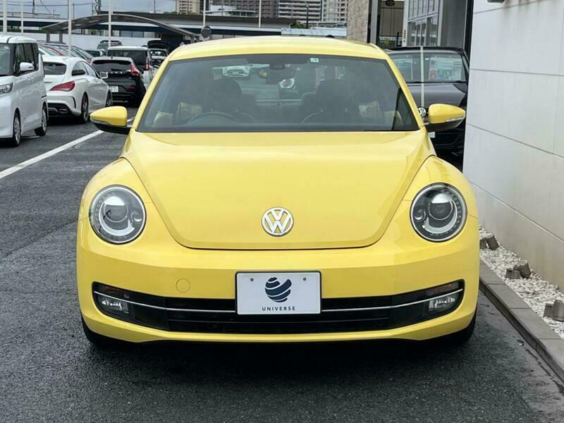 THE BEETLE