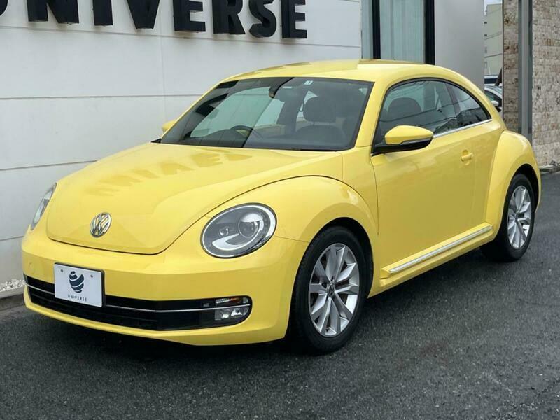 THE BEETLE