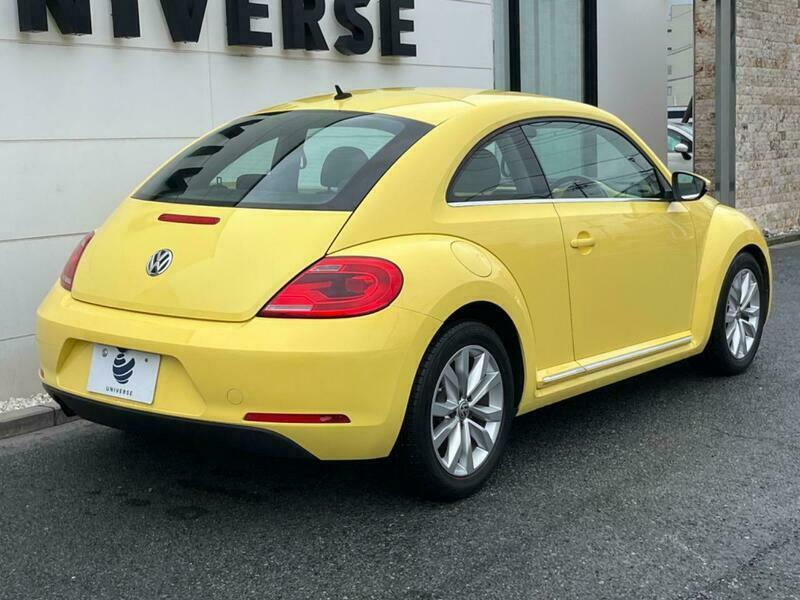 THE BEETLE