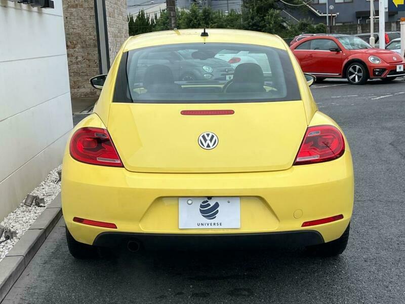 THE BEETLE