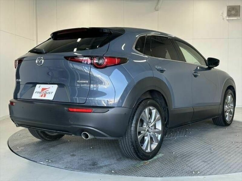 CX-30