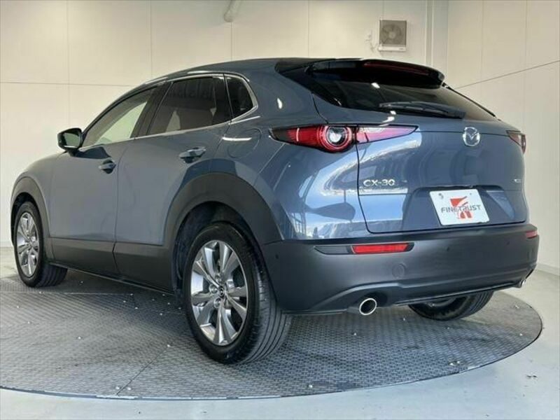CX-30