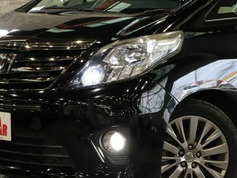 ALPHARD-10