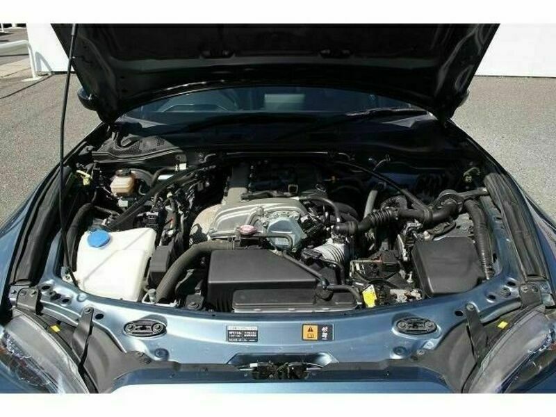 ROADSTER RF