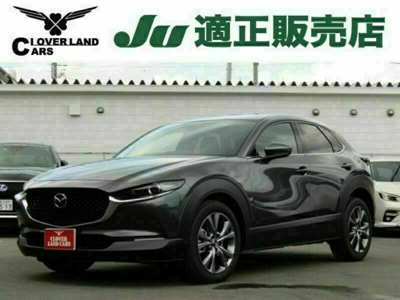 CX-30