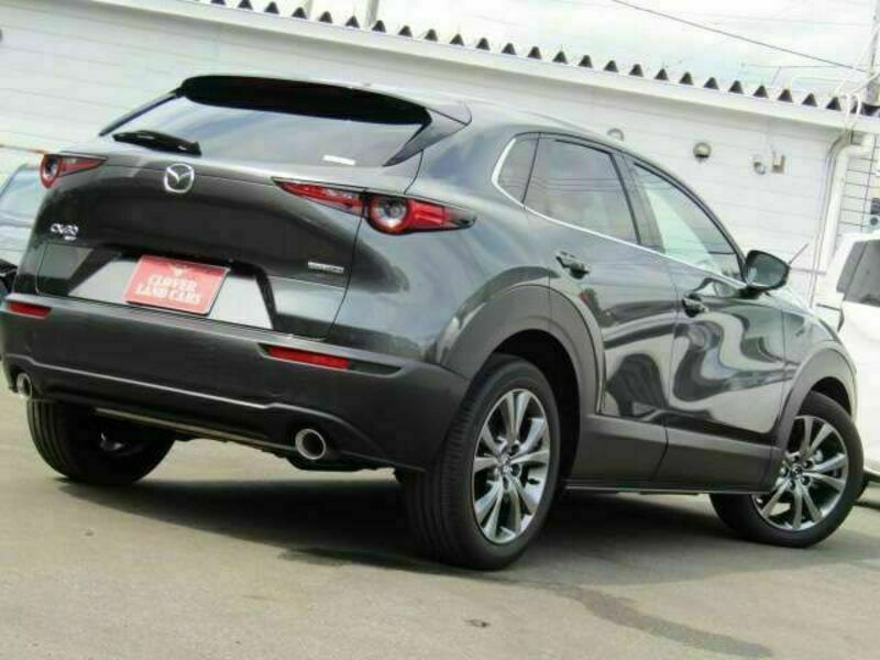 CX-30