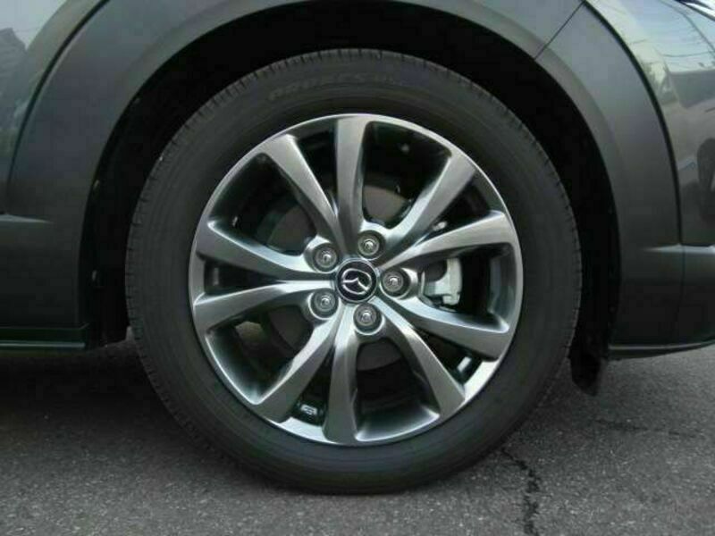 CX-30