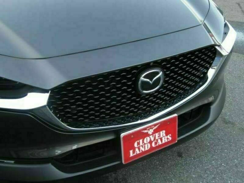 CX-30