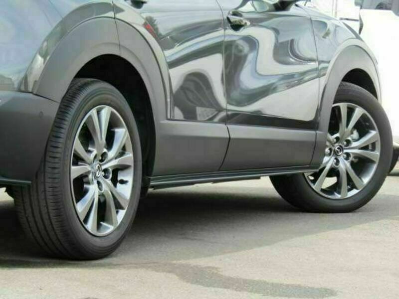 CX-30
