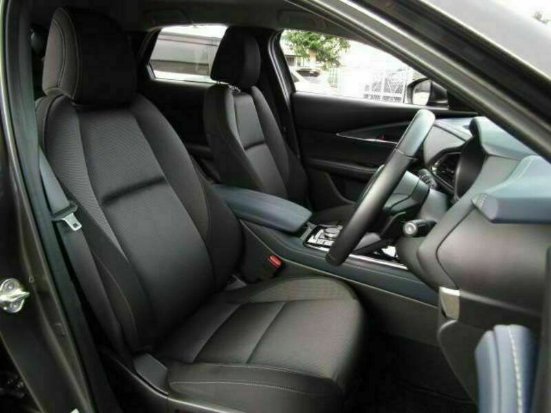 CX-30