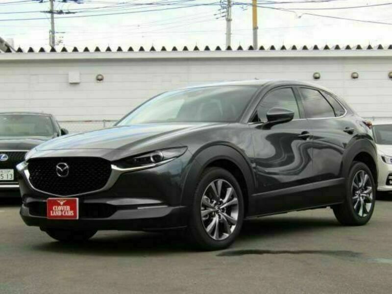 CX-30