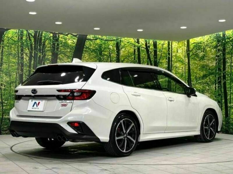 LEVORG
