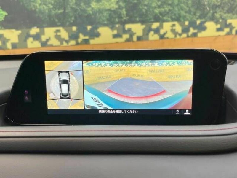 CX-30