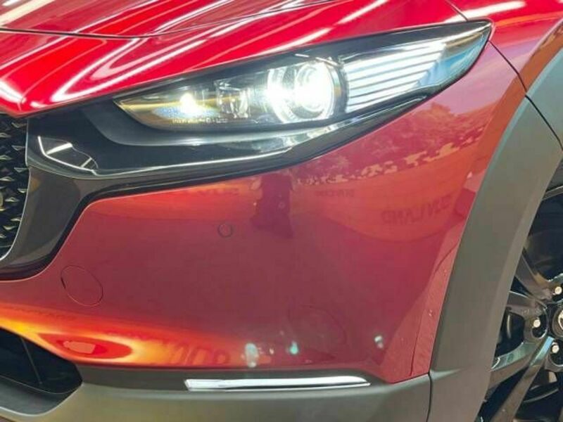 CX-30