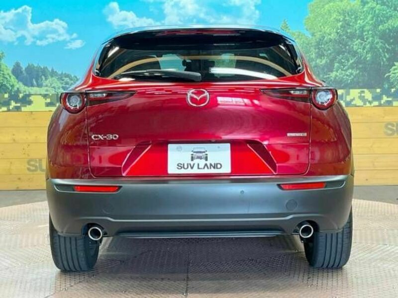 CX-30