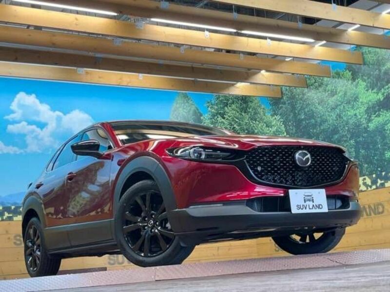 CX-30