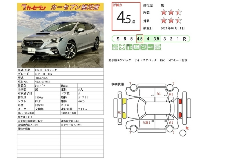 LEVORG