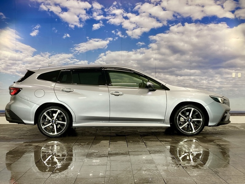 LEVORG