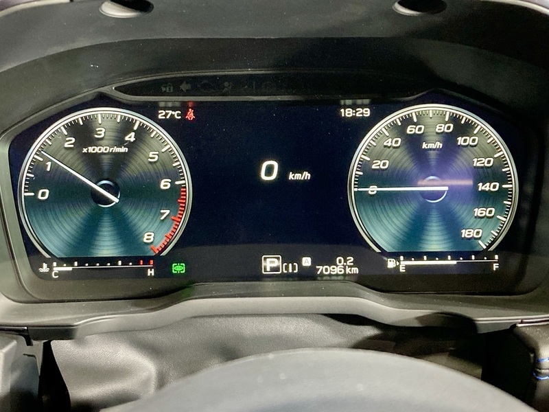 LEVORG
