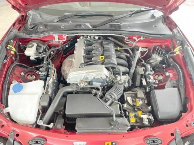 ROADSTER RF