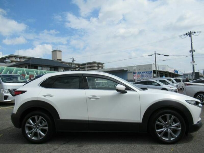 CX-30