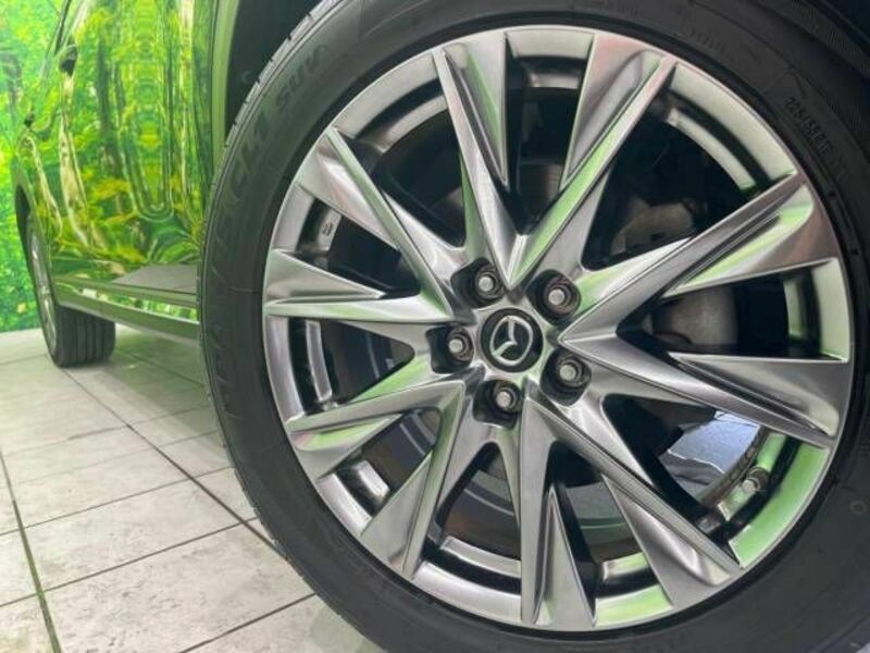 CX-8