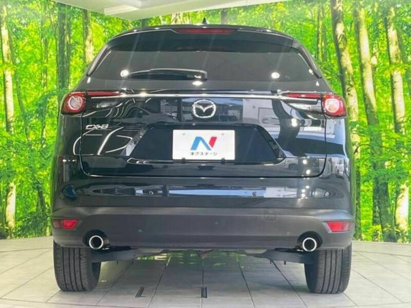 CX-8