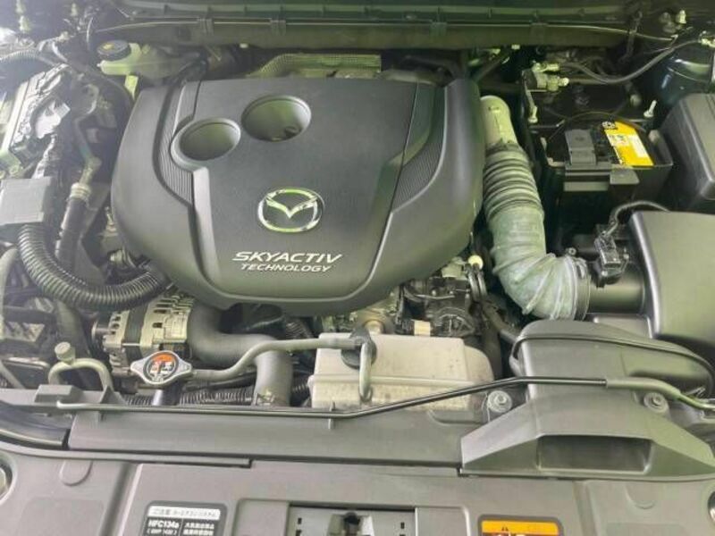 CX-8