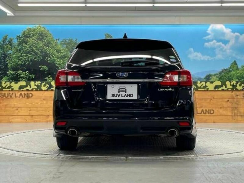 LEVORG