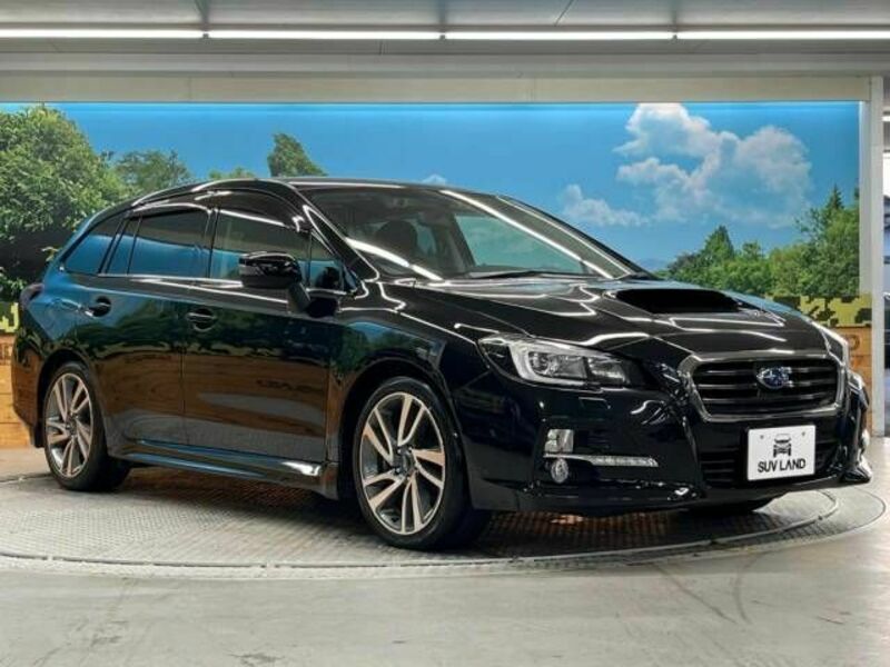 LEVORG