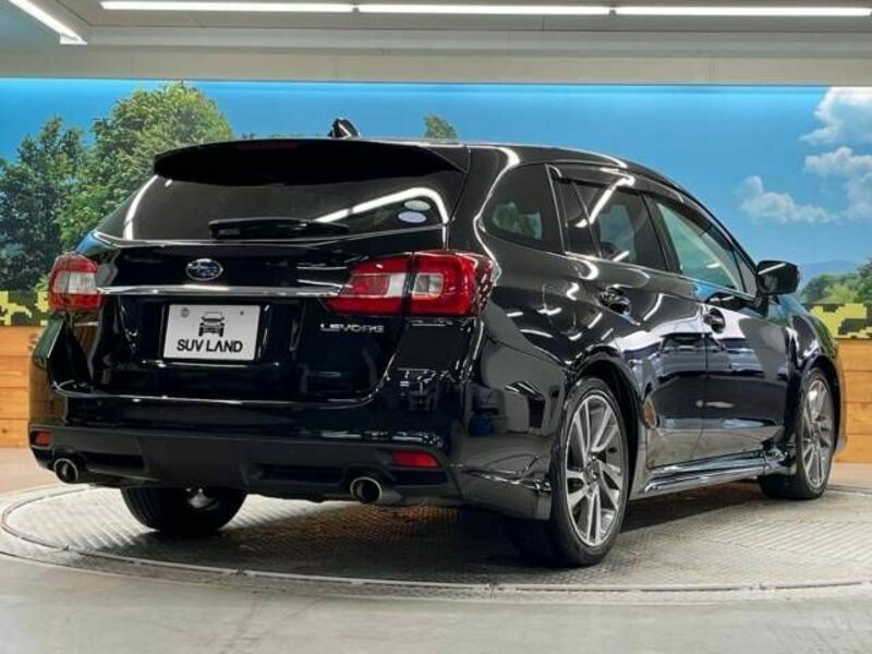 LEVORG