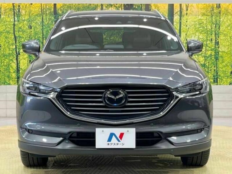 CX-8