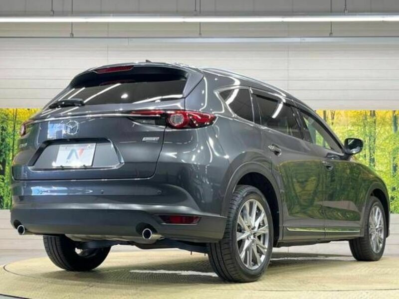 CX-8