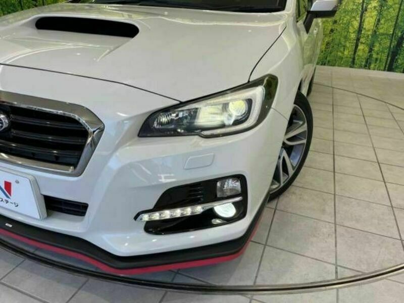 LEVORG
