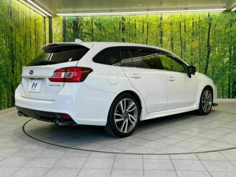 LEVORG