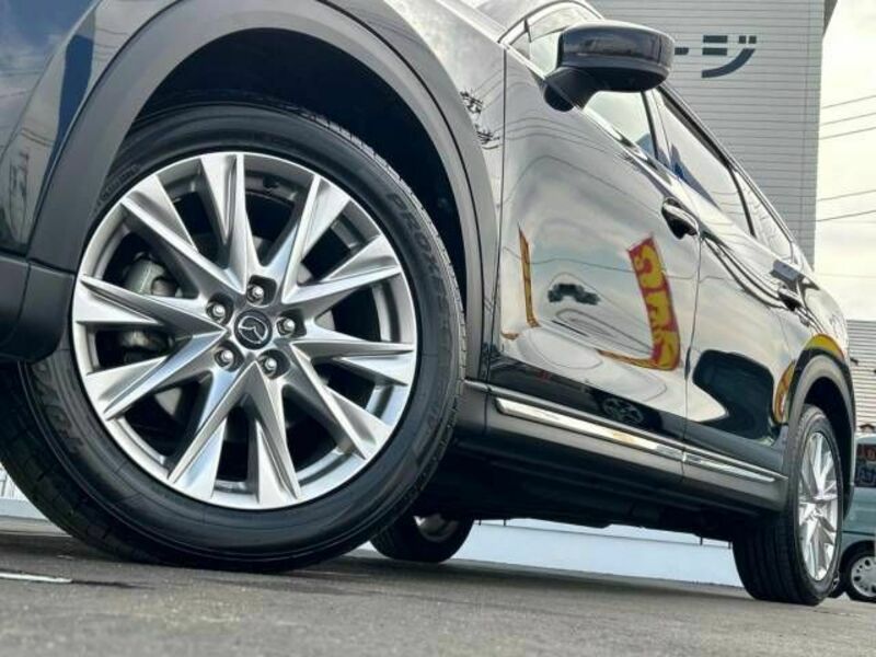 CX-8