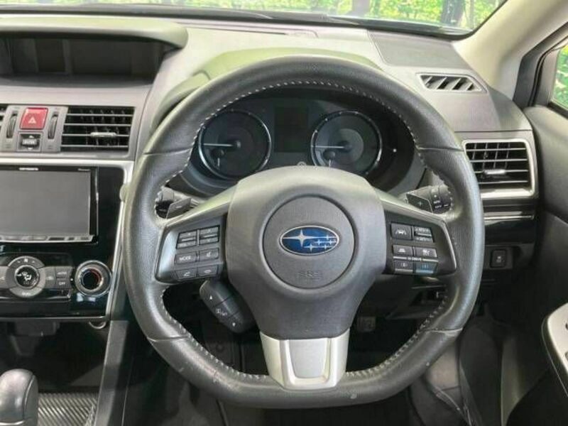 LEVORG