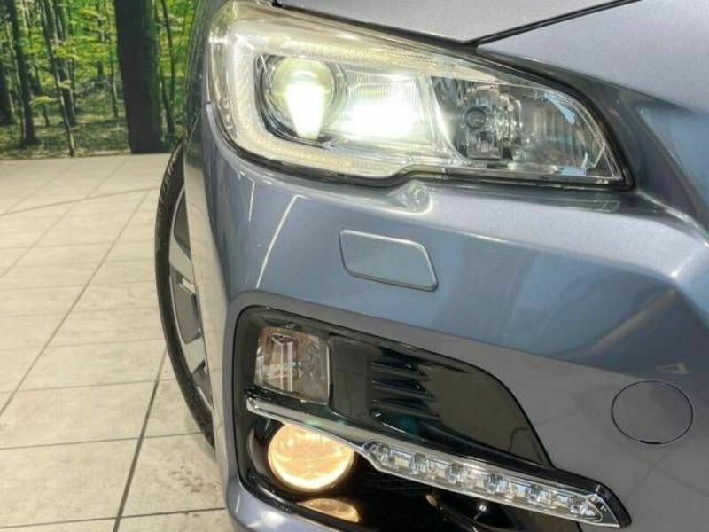 LEVORG