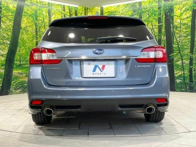 LEVORG
